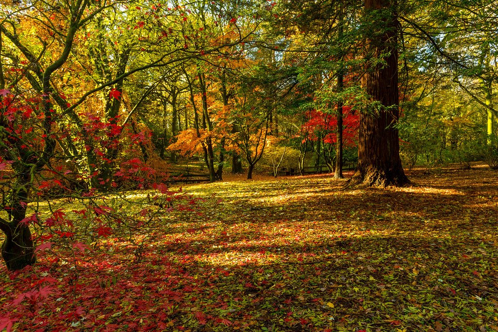 🌳 케픈 온 공원(파크 케픈 온)
